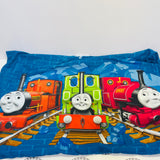 Flat Sheet and 1 Pillow Case (Washed and Clean) - Used