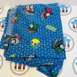 Flat Sheet and 1 Pillow Case (Washed and Clean) - Used